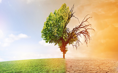 Pilier_changement_climatique