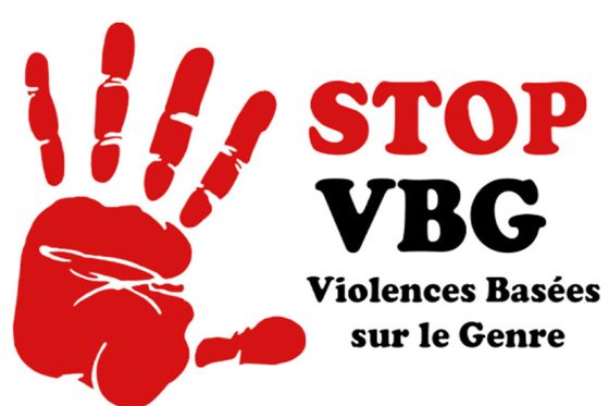 Le personnel du PSRDREN formé sur les VBG                            